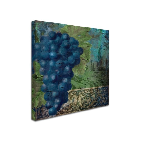 Color Bakery 'Vino Blu Two' Canvas Art,35x35